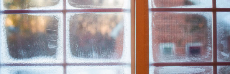 Brian's Heating & Air Conditioning
      is here to keep you warm all winter long with an Armstrong Air furnace or Mitsubishi mini split heat pump.